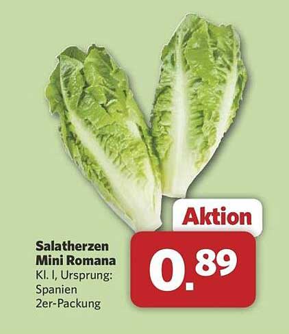 Salatherzen Mini Romana 2er-Packung