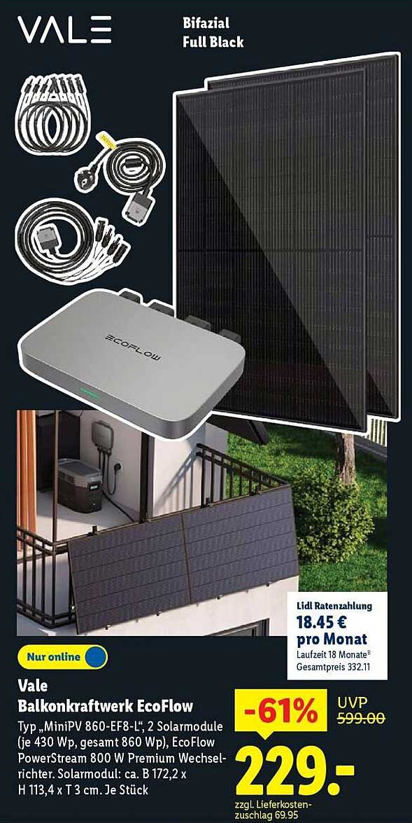 Vale Balkonkraftwerk EcoFlow - 2 Solarmodule (je 430 Wp, gesamt 860 Wp)