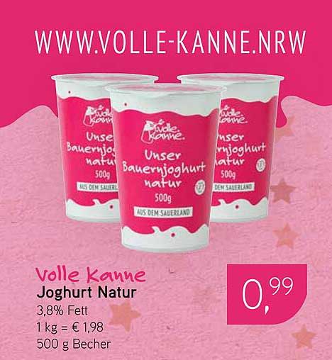 Volle Kanne Joghurt Natur 500g