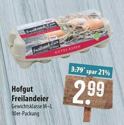 Hofgut Freilandeier 10er-Packung