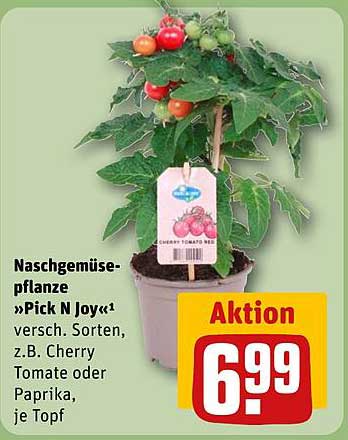 Naschgemüsepflanze "Pick N Joy" – verschiedene Sorten wie Cherry Tomate oder Paprika, je Topf