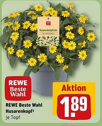 REWE Beste Wahl Husarenköpfchen je Topf