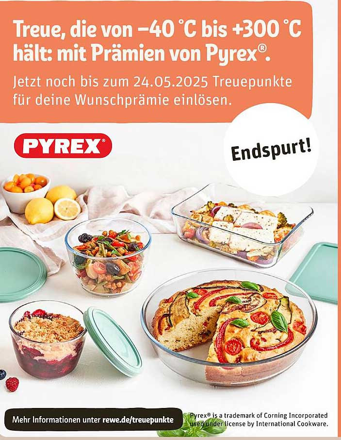Treue, die von -40 °C bis +300 °C hält: mit Prämien von Pyrex®