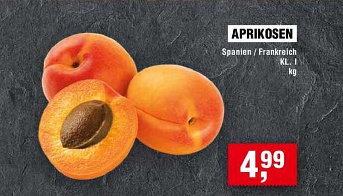 APRIKOSEN aus Spanien und Frankreich