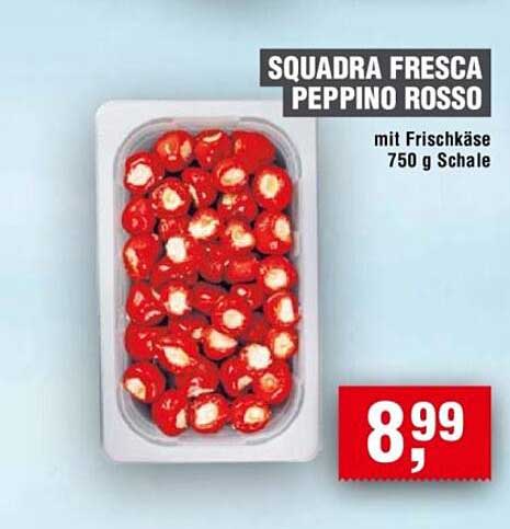 SQUADRA FRESCA Peppino Rosso mit Frischkäse 750 g Schale
