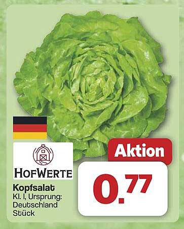 HofWerte Kopfsalat - frisch und knackig für nur 0,77 €