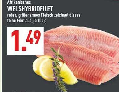 Afrikanisches WELSHYBRIDFILET