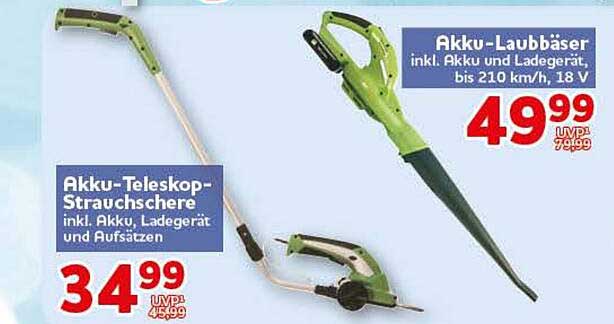 Akku-Teleskop-Strauchschere inkl. Akku, Ladegerät und Aufsätzen