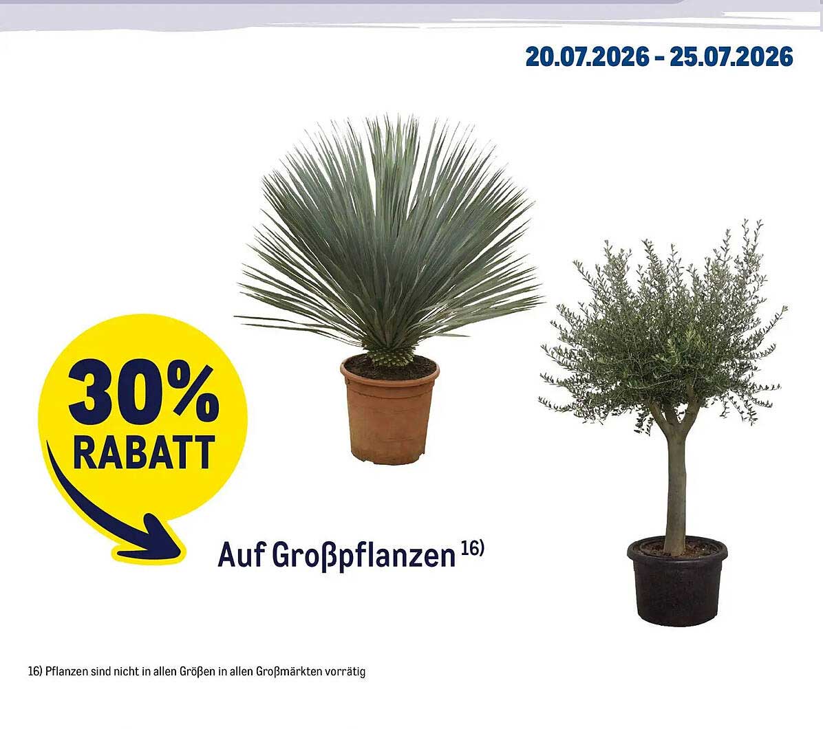 Auf Großpflanzen