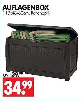 AUFLAGENBOX 119x48x60cm, Rattanoptik