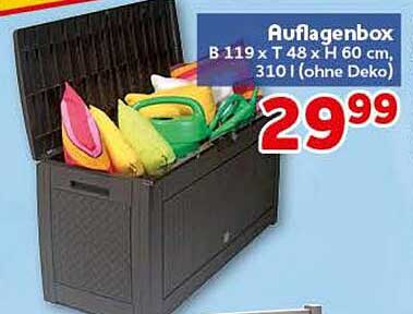 Auflagenbox B 119 x T 48 x H 60 cm, 310 l (ohne Deko)