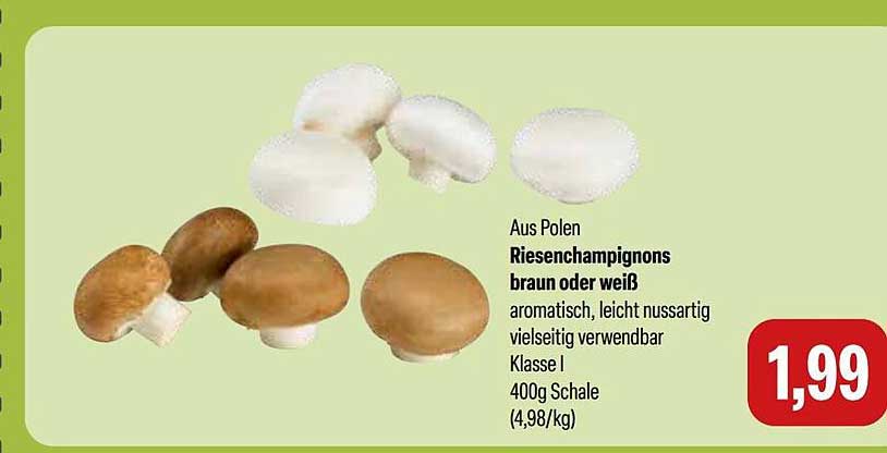Aus Polen Riesenchampignons braun oder weiß