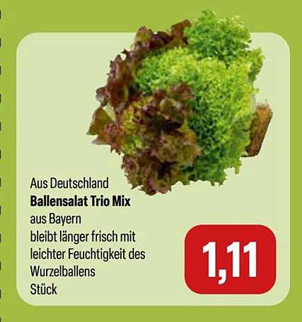 Ballensalat Trio Mix aus Bayern