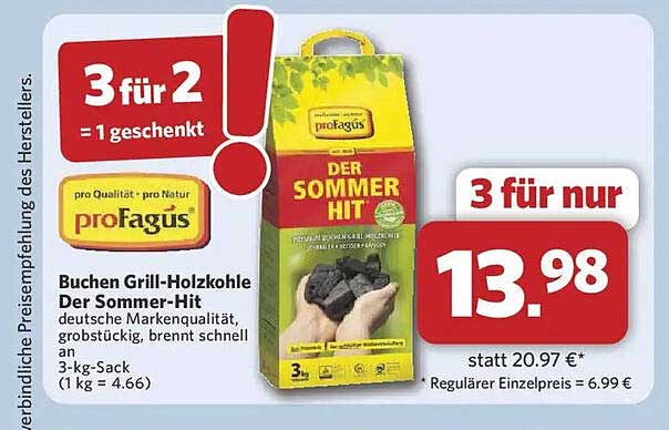 Buchen Grill-Hartholzkohle Der Sommer-Hit