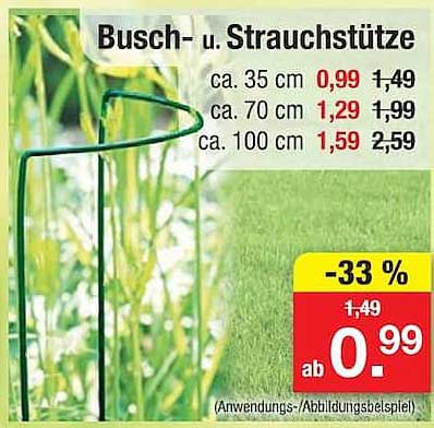 Busch- u. Strauchstütze