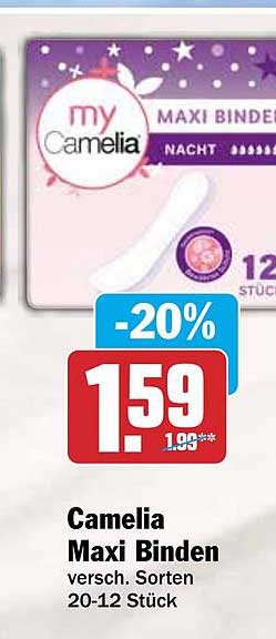 Camelia Maxi Binden versch. Sorten 20-12 Stück