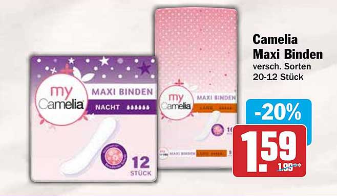 Camelia Maxi Binden versch. Sorten 20-12 Stück