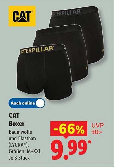CAT Boxer