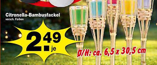 Citronella-Bambusfackel versch. Farben
