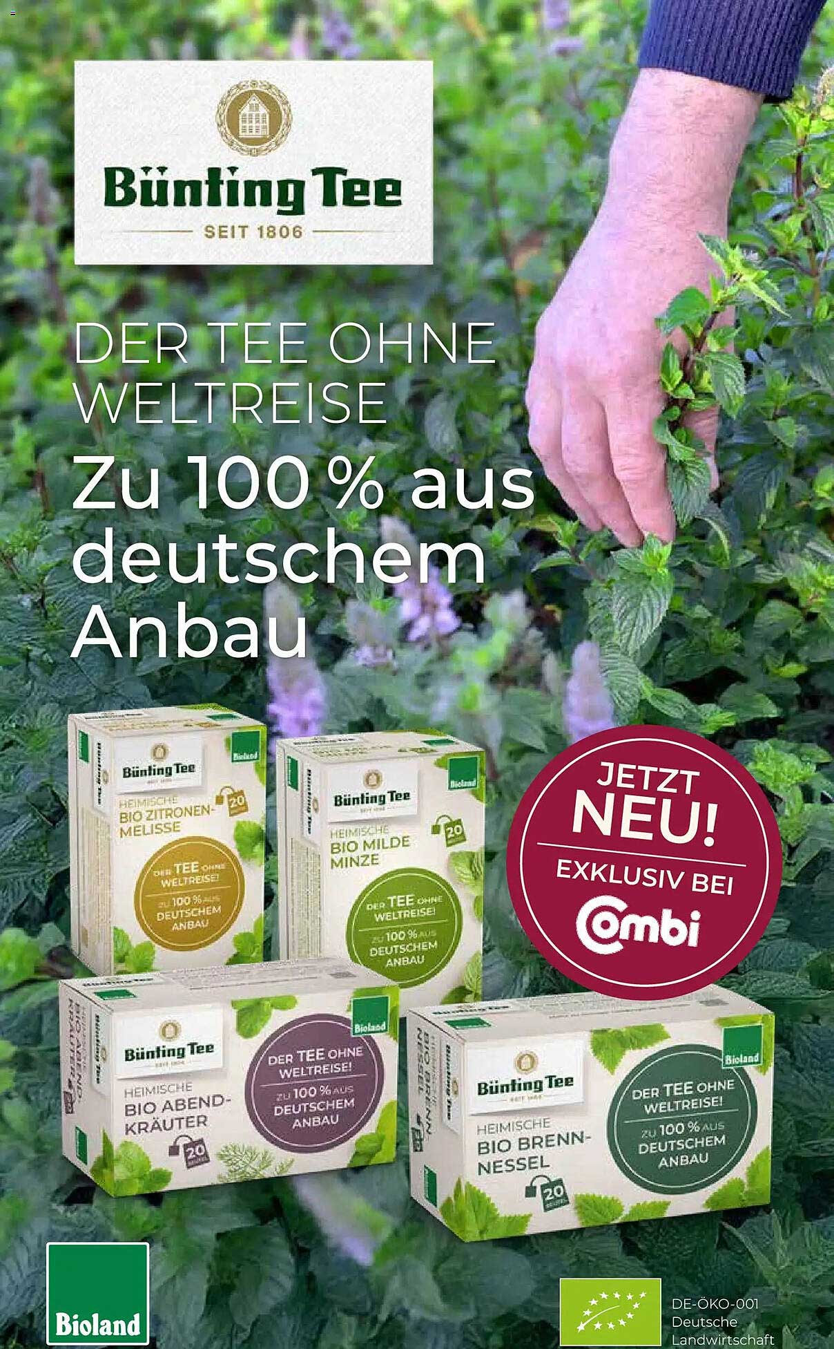 DER TEE OHNE WELTREISE zu 100 % aus deutschem Anbau
