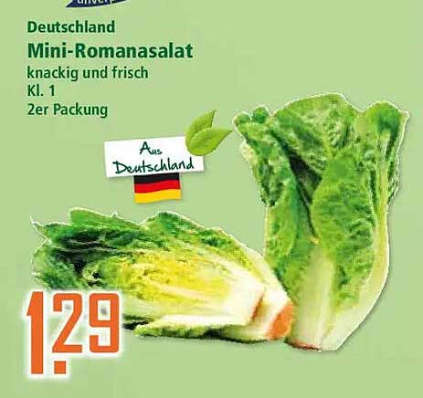 Deutschland Mini-Romanasalat knackig und frisch Kl. 1 2er Packung