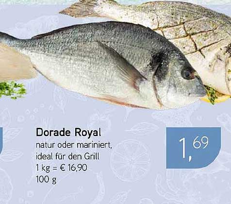 Dorade Royal