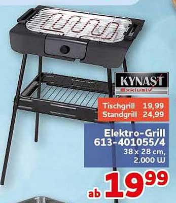 Elektro-Grill 613-401055/4 38 x 28 cm, 2.000 W