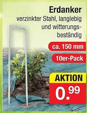 Erdanker