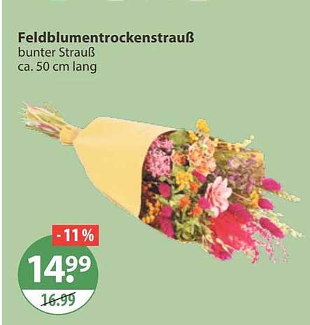 Feldblumentrockentrauß bunter Strauß ca. 50 cm lang