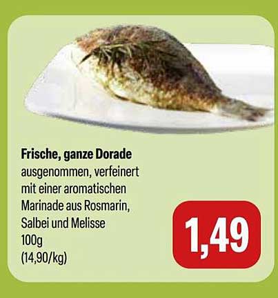 Frische, ganze Dorade