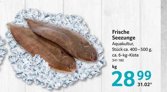 Frische Seezunge