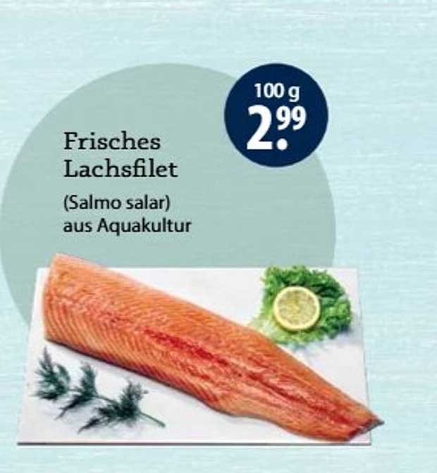 Frisches Lachsfilet (Salmo salar) aus Aquakultur