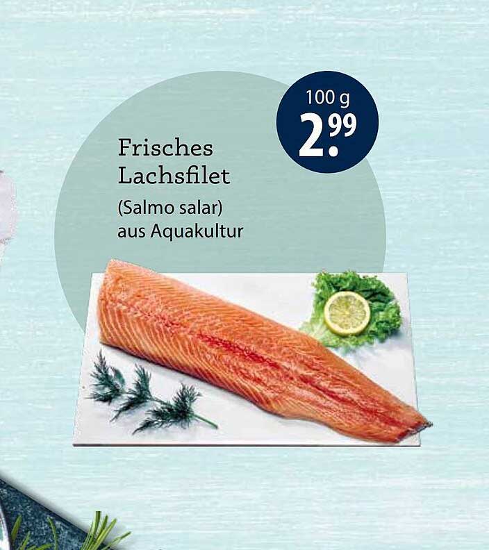 Frisches Lachsfilet (Salmo salar) aus Aquakultur