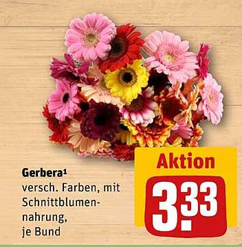 Gerbera¹ versch. Farben, mit Schnittblumen-nahrung, je Bund