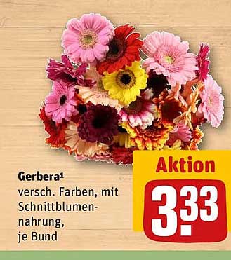 Gerbera¹ versch. Farben, mit Schnittblumennahrung, je Bund