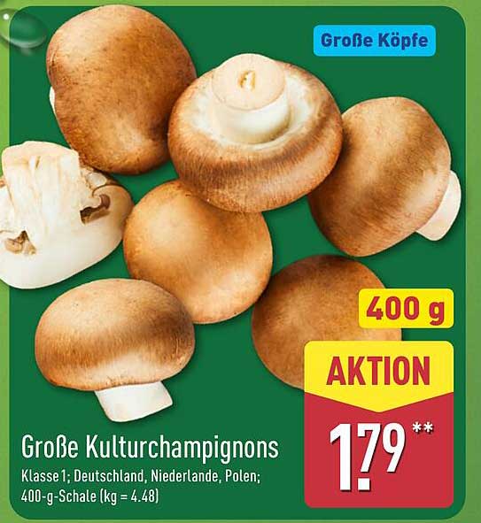 Große Kulturchampignons