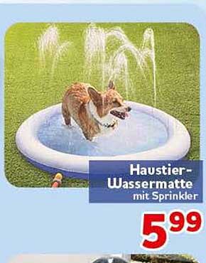 Haustier-Wassermatte mit Sprinkler