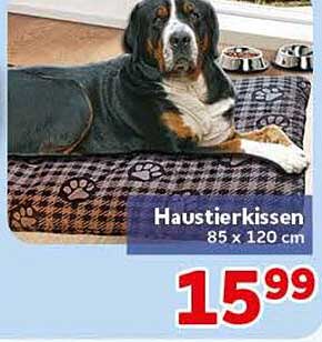 Haustierkissen 85 x 120 cm