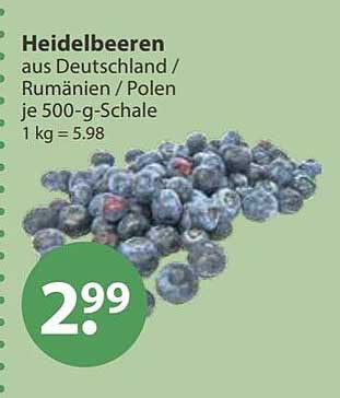 Heidelbeeren aus Deutschland / Rumänien / Polen je 500-g-Schale 1 kg = 5.98