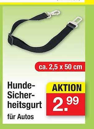 Hunde-Sicherheitsgurt für Autos