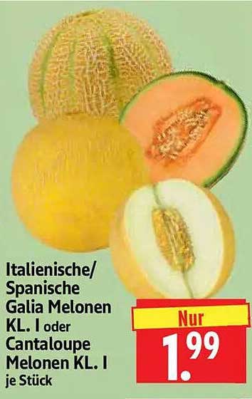 Italienische/Spanische Galia Melonen Kl. I oder Cantaloupe Melonen Kl. I je Stück