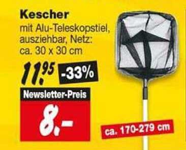 Kescher mit Alu-Teleskopstiel, ausziehbar, Netz: ca. 30 x 30 cm