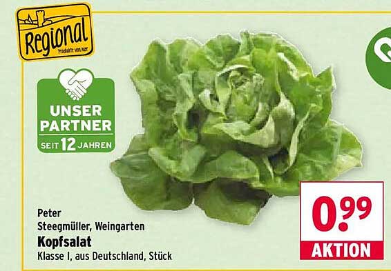 Kopfsalat