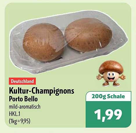 Kultur-Champignons Porto Bello