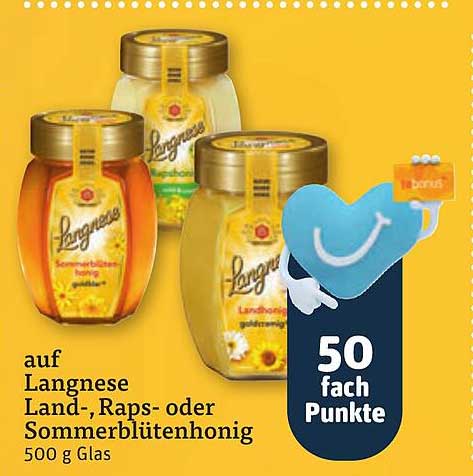 Langnese Land-, Raps- oder Sommerblütenhonig 500 g Glas