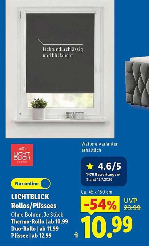 LICHTBLICK Rollos/Plissees