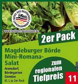 Magdeburger Börde Mini-Romana-Salat