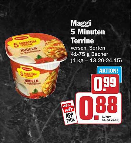Maggi 5 Minuten Terrine versch. Sorten 41-75 g Becher