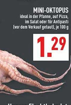MINI-OKTOPUS