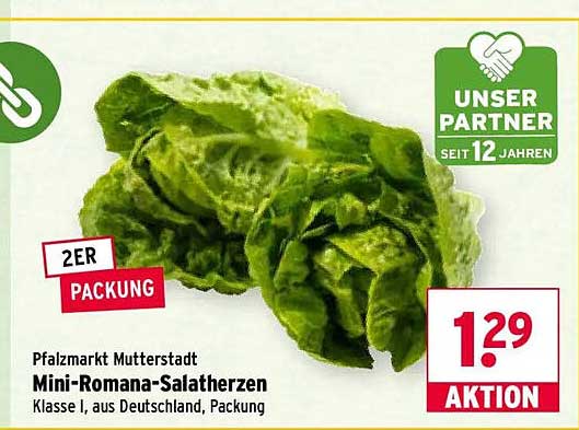 Mini-Romana-Salatherzen